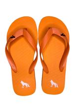 Chinelo acostamento masculino 320829000