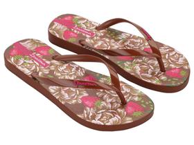 Chinelo Adulto Feminino Ipanema 27.496 Chinelo Adulto Feminino Ipanema 27.496