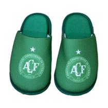 Chinelo Bear Men Chape no Verde EVA