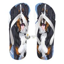 Chinelo Bernese cachorro Chinelo Bernese cachorro