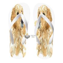 Chinelo cachorro golden retriever