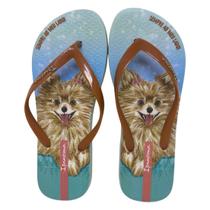 Chinelo de Dedo Feminino Leve Casual Ipanema Pets Pop Chinelo de Dedo Feminino Leve Casual Ipanema Pets Pop