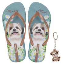 Chinelo De Dedo Infantil Menina Ipanema Kids My Pets Chinelo De Dedo Infantil Menina Ipanema Kids My Pets
