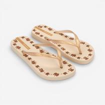 Chinelo De Dedo Ipanema Day Capivara Bege Chinelo De Dedo Ipanema Day Capivara Bege