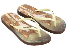 Chinelo de dedo ipanema feminino pets pop 27540 marrom/bege bz201 - Chinelo de dedo ipanema feminino pets pop 27540 marrom/bege bz201 -