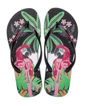 Chinelo de Dedo Ipanema Orla 27036 Chinelo de Dedo Ipanema Orla 27036