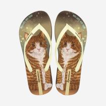 Chinelo de Dedo Marrom Pets Pop Ipanema Chinelo de Dedo Marrom Pets Pop Ipanema