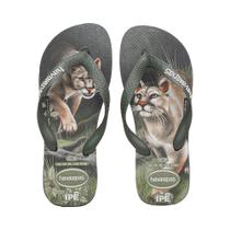 Chinelo de Dedo Verde Olive Ipê Havaianas Chinelo de Dedo Verde Olive Ipê Havaianas
