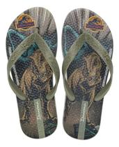 Chinelo dedo ipanema juvenil jurassik world 27624 - Chinelo dedo ipanema juvenil jurassik world 27624 -