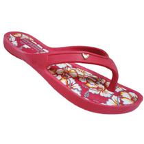 Chinelo Feminino Adulto Mississipi Q4854 Chinelo Feminino Adulto Mississipi Q4854