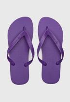 Chinelo Feminino Ipanema Confortável Novidade