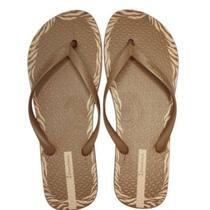 Chinelo feminino ipanema day 27321 desenhado macio confortavel resistente