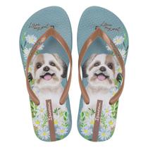 Chinelo Feminino Ipanema My Pets REF: 27469 Chinelo Feminino Ipanema My Pets REF: 27469