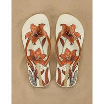 chinelo Feminino Ipanema Oasis Macio Original Resistente Antiderrapante
