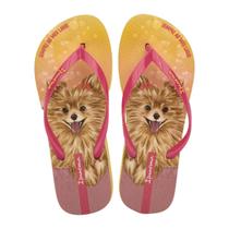 Chinelo Feminino Ipanema Pets Pop REF: 27540 Chinelo Feminino Ipanema Pets Pop REF: 27540