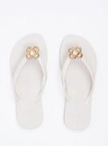 Chinelo Feminino Petite Jolie Fresh Básico Tendência Original Pj6979 Chinelo Feminino Petite Jolie Fresh Básico Tendência Original Pj6979