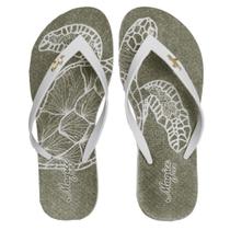 Chinelo Feminino Praia Slim Adulto Tartaruga Magicc CH-244 Chinelo Feminino Praia Slim Adulto Tartaruga Magicc CH-244