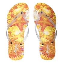 Chinelo Feminino Slim Transparente Estrela Do Mar Magicc Bolsas