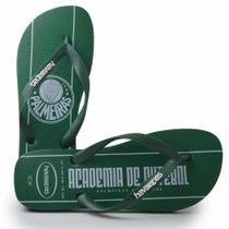 Chinelo Havaianas Masculino TOP TIMES 24/25