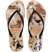 Chinelo Havaianas SLIM PETS Feminino PRETO/DOURADO 39/40 Chinelo Havaianas SLIM PETS Feminino PRETO/DOURADO 39/40