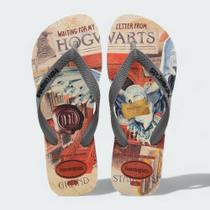 Chinelo Havaianas Top Warner Harry Potter Edviges - unissex - bege e dourado