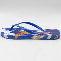 Chinelo Ipanema Estampado Tira Fina Arte Ad Feminino