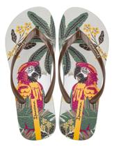 Chinelo Ipanema Grendene Orla Personalizado De Dedo Super Confortável Feminina 27036 (66284)