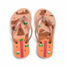 Chinelo Ipanema Hype REF:27388