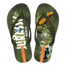 Chinelo Ipanema Jurassic Park II Masculino Infantil