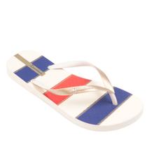Chinelo Ipanema Navy 27220