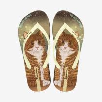 Chinelo Ipanema Pets Pop 27540 Chinelo Ipanema Pets Pop 27540