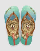 Chinelo Ipanema Pets Pop 27540 Chinelo Ipanema Pets Pop 27540