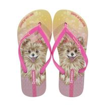 Chinelo Ipanema Pets Pop Amarelo/Rosa Chinelo Ipanema Pets Pop Amarelo/Rosa