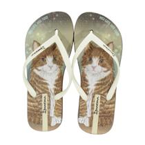 Chinelo Ipanema Pets Pop Marrom/Bege Chinelo Ipanema Pets Pop Marrom/Bege