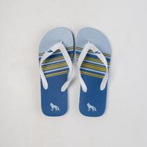 Chinelo Masculino Acostamento Stripe 1.0 Azul