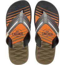 Chinelo Masculino Cartago Dallas Confort Tira Larga Original