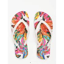 Chinelo Petite Jolie Fresh PJ6969