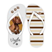 Chinelo temático PET Vizsla