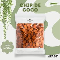 Chip de Coco Lavado 500g (6Lts) para Substrato, Orquídeas, Suculentas, Hortas, Drenagem e Jardinagem