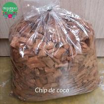 Chip de coco Chip de coco
