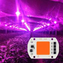 Chip LED COB 50W Full Spectrum Cultivo Grow Planta Aquário 220V - LED Force