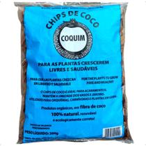Chips De Coco Ouro Fertil 200g Rf 4005