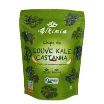 Chips de Couve Kale Castanha Orgânico Alkimia 15g