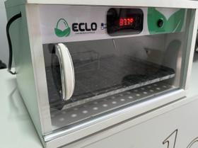 Chocadeira 30 Ovos De Galinha Automática Sem Ovoscopio 220V Chocadeira 30 Ovos De Galinha Automática Sem Ovoscopio 220V