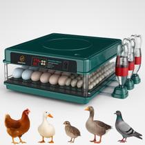 Chocadeira Automática 130 Ovos Galinha Ovoscópio Viragem Automática Incubadora Digital - Ovotech