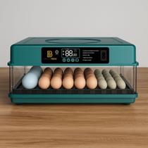 Chocadeira Automática 130 Ovos Galinha Ovoscópio Viragem Automática Incubadora Digital