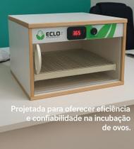 Chocadeira Automática 30 Ovos de Galinha - ECLO Chocadeira Automática 30 Ovos de Galinha - ECLO