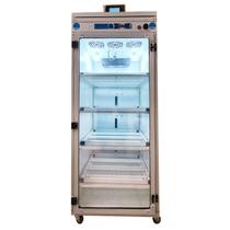 Chocadeira Automática Digital - Luna para Avestruz Emu