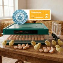 Chocadeira Automática Lavável Bivolt Ovoscópio Certificada INMETRO Modelo 72 ou 130 Ovos Profissional Beltempo