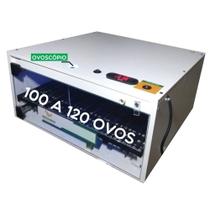 Chocadeira Automática Profissional Até 100 Ovos 110V